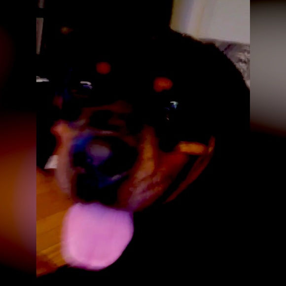 Meet your Posher, Tobi - Picture 12 of 14